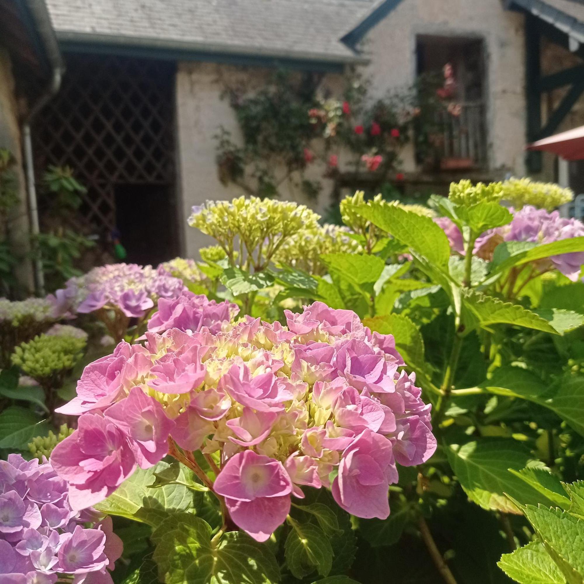 Le Clos De Cinacle Ogeu-les-Bains Экстерьер фото